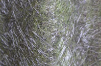 Luddington fibreglass roof work